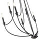 Senoia 9 Light 32.5 inch Matte Black Chandelier Ceiling Light